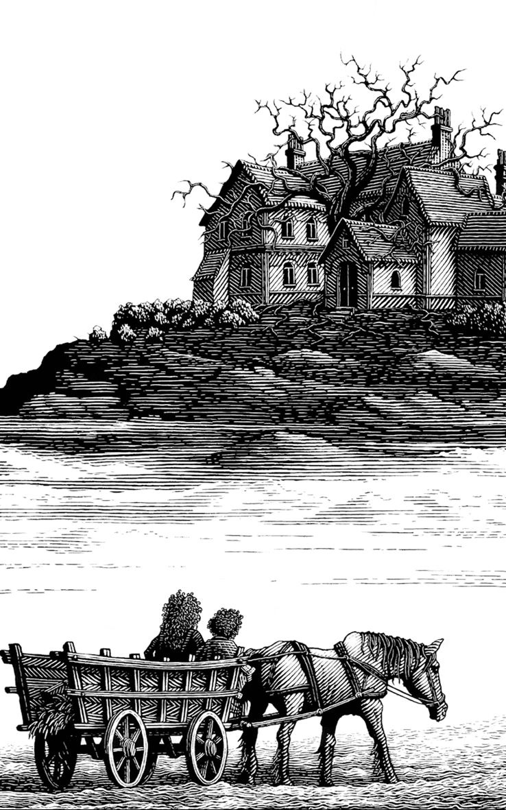 Ночной садовник Ночной садовник