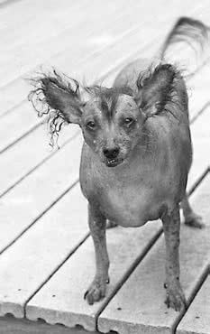 FreshLife28. Как начать новую жизнь в понедельник и не бросить во вторник