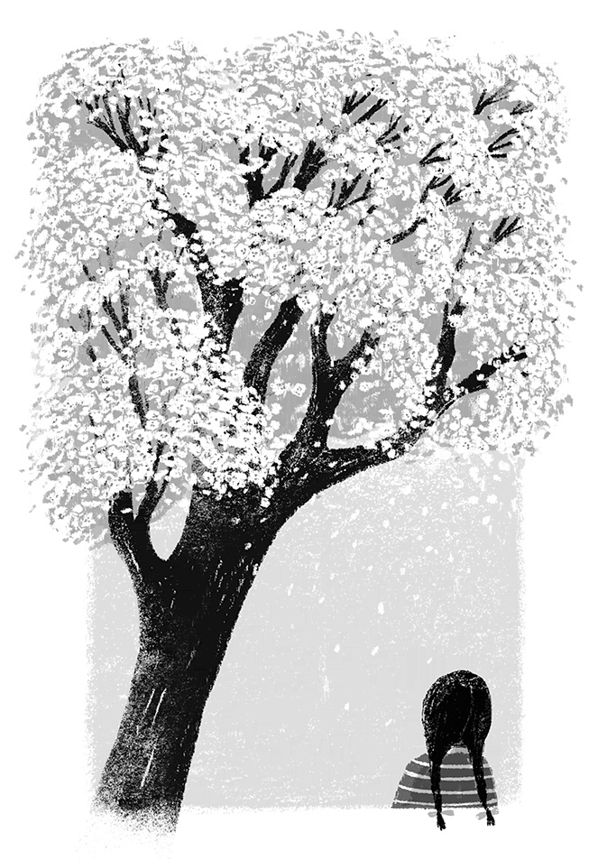 Расстояние между мной и черешневым деревом