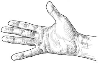 Рыжий бродяга Тоби. Кот, подаривший утешение в самые трудные дни