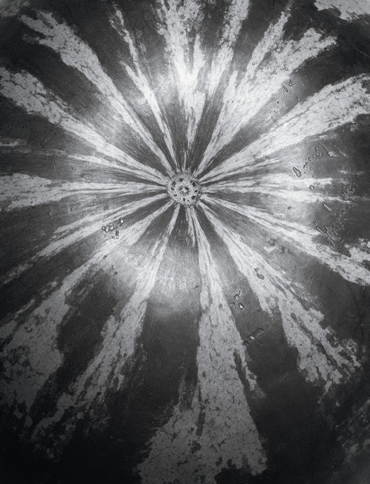 Дзен-камера. Шесть уроков творческого развития и осознанности