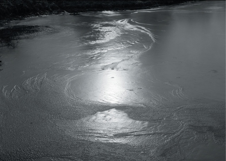 Дзен-камера. Шесть уроков творческого развития и осознанности Дзен-камера. Шесть уроков творческого развития и осознанности