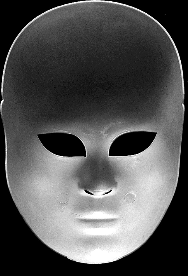 Мозг материален Мозг материален