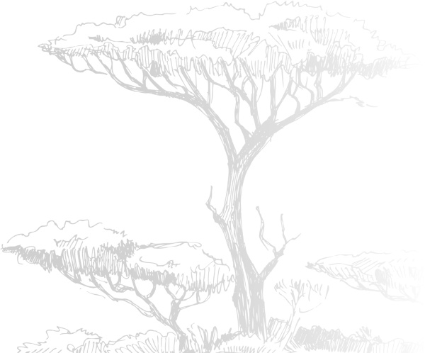 Записки путешествующего ветеринара: нескучные истории о диких пациентах Записки путешествующего ветеринара: нескучные истории о диких пациентах