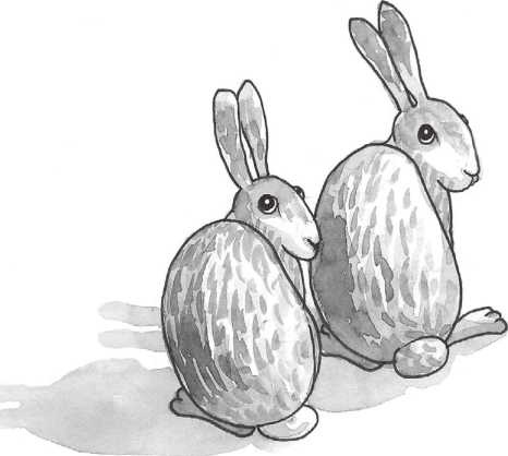 Печенье счастья Печенье счастья