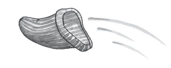 Печенье счастья Печенье счастья