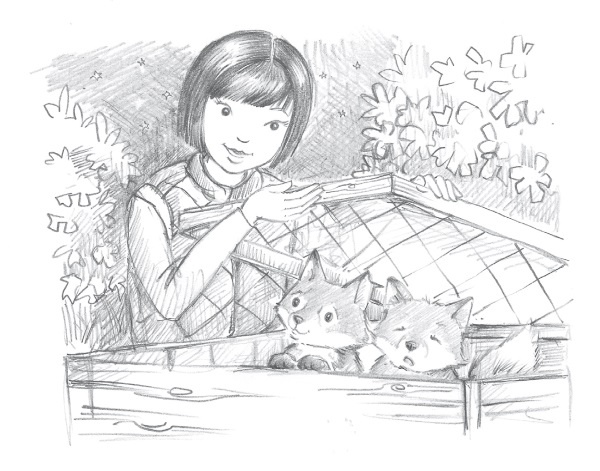 Лисичка Тыковка, или Лунный камень Лисичка Тыковка, или Лунный камень