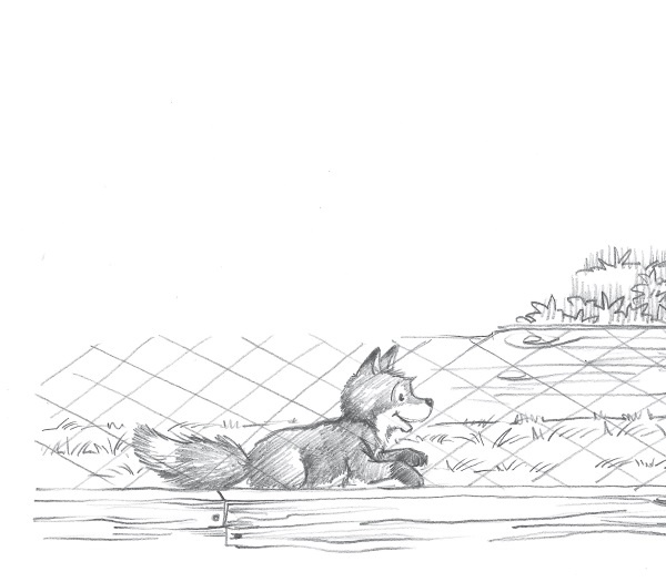 Лисичка Тыковка, или Лунный камень Лисичка Тыковка, или Лунный камень