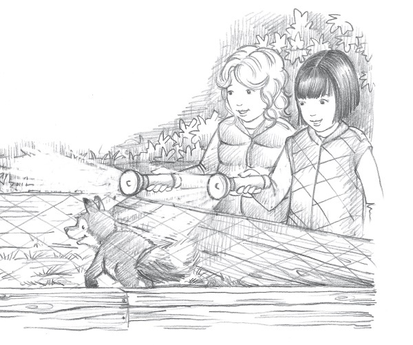 Лисичка Тыковка, или Лунный камень Лисичка Тыковка, или Лунный камень