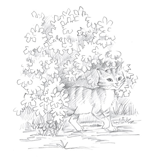 Лисичка Тыковка, или Лунный камень Лисичка Тыковка, или Лунный камень