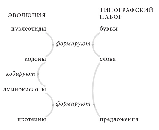 Объяснение социального поведения. Еще раз об основах социальных наук 