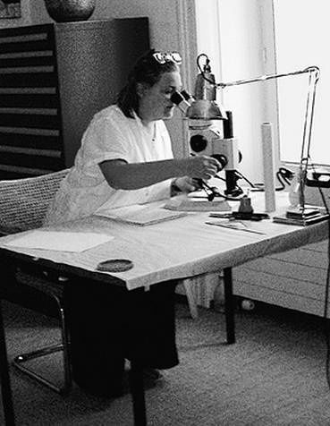 Инсектопедия Инсектопедия