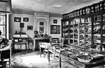 Инсектопедия Инсектопедия