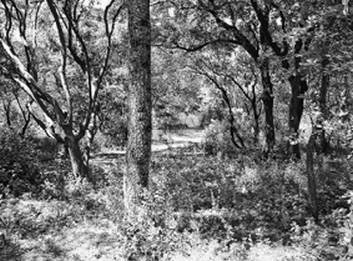 Инсектопедия Инсектопедия