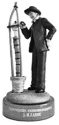 Инсектопедия Инсектопедия