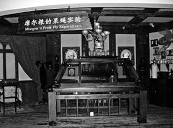 Инсектопедия Инсектопедия