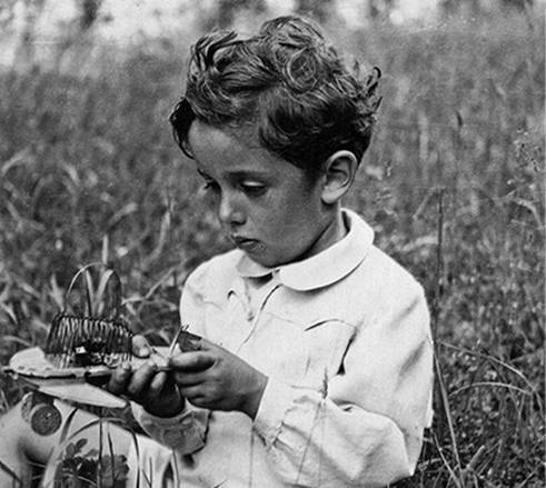 Инсектопедия Инсектопедия