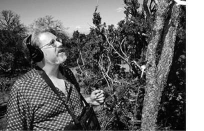 Инсектопедия Инсектопедия