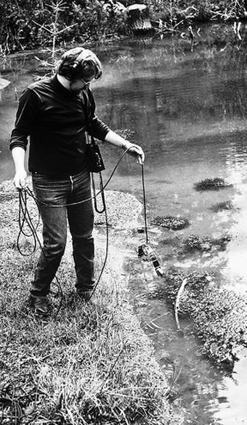 Инсектопедия Инсектопедия