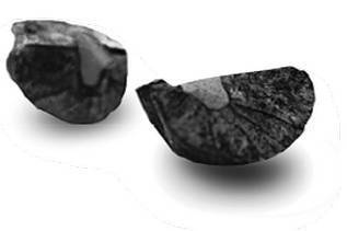 Инсектопедия Инсектопедия