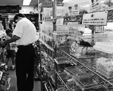 Инсектопедия Инсектопедия