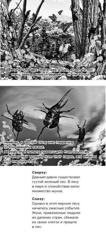 Инсектопедия Инсектопедия