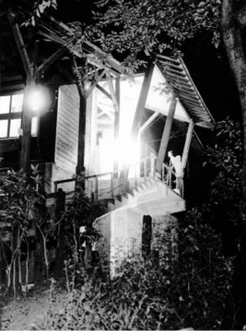 Инсектопедия Инсектопедия