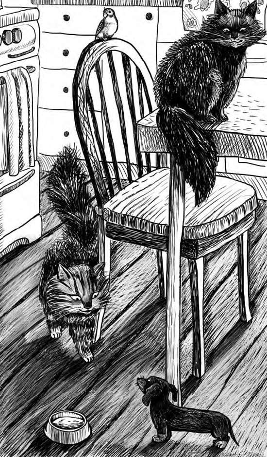 Жил-был такс Жил-был такс