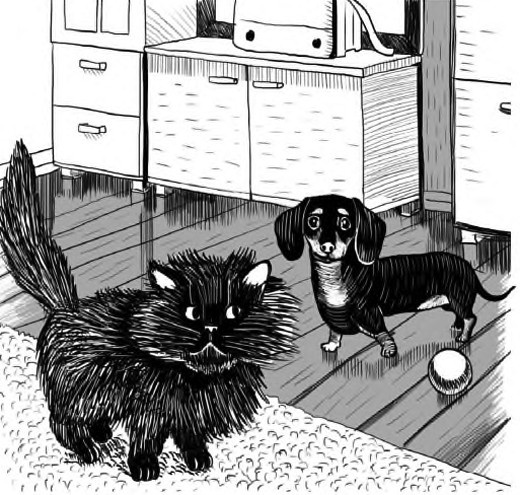 Жил-был такс Жил-был такс