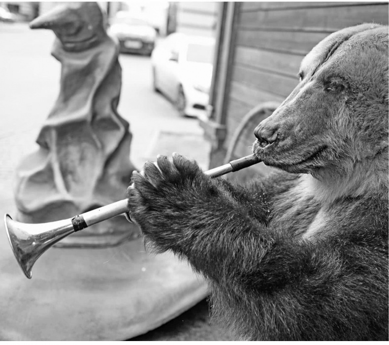 Мозговодство Мозговодство