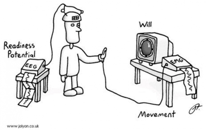 Мозговодство Мозговодство