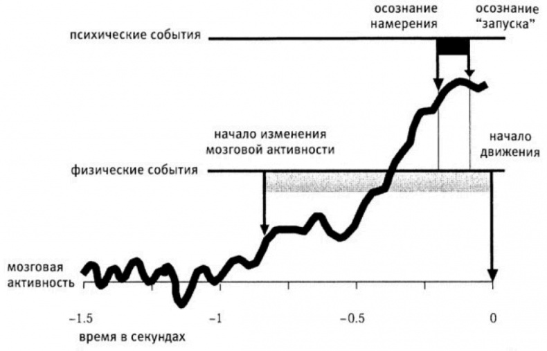 Мозговодство Мозговодство