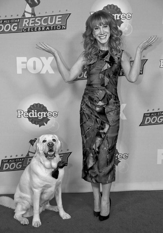 «Вожак стаи». Полное руководство по дрессировке и воспитанию собак