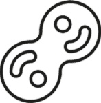 Микробы? Мама, без паники, или Как сформировать ребенку крепкий иммунитет