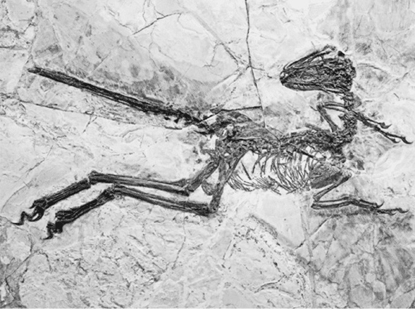 Время динозавров. Новая история древних ящеров