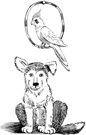 Как мама была маленькой Как мама была маленькой