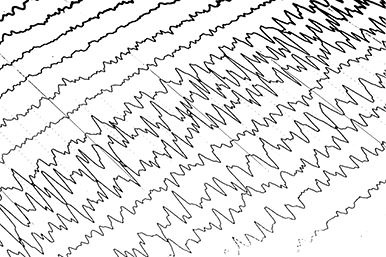 Предрассудки о здоровье. Жить надо с умом и правильно Предрассудки о здоровье. Жить надо с умом и правильно