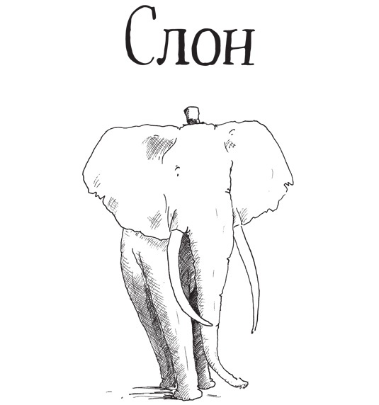 Слон Слон