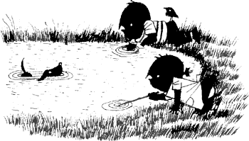 Саша и Маша - 2 Саша и Маша - 2